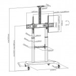 ErgoFount BSM-100-06TV Телевизионна стойка с регулируема височина от алуминий