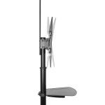 Ewent EW1540 подвижна подова стойка за телевизори от 37" до 70", до 50 кг