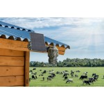 Technaxx 4G PT Dome TX-290 Solar смарт камера със соларен панел