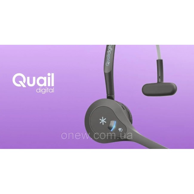 Quail Digital 5V POWER, адаптер за Q-P10CH Quail Digital 5V POWER, адаптер за Q-P10CH
