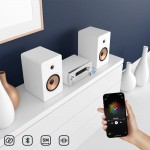 Tellur TLL622081 Bluetooth преносим аудио приемник, 3.5 мм AUX адаптер, сив